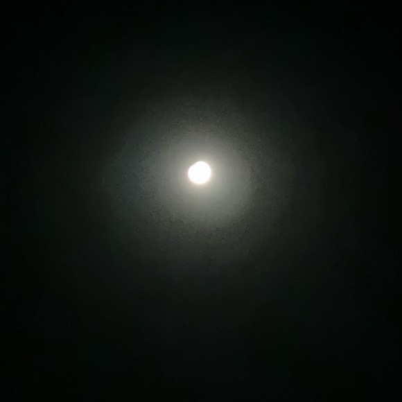 Meet your Posher, Janice - Picture 17 of 17